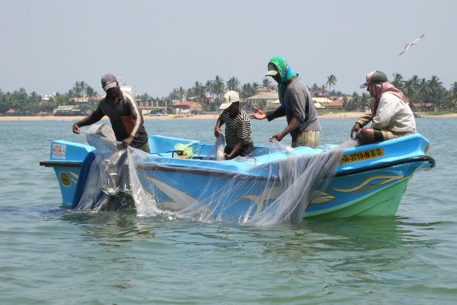 95. photo gallery.JPG